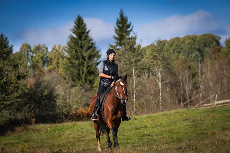 equestrian jacket